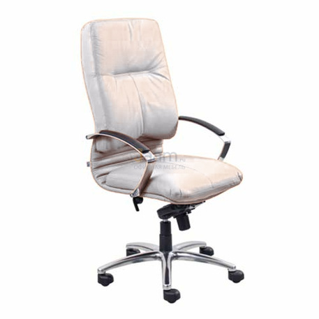 Кресло Tigris Alu1